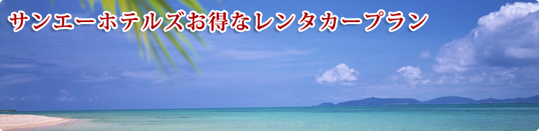 レンタカープラン